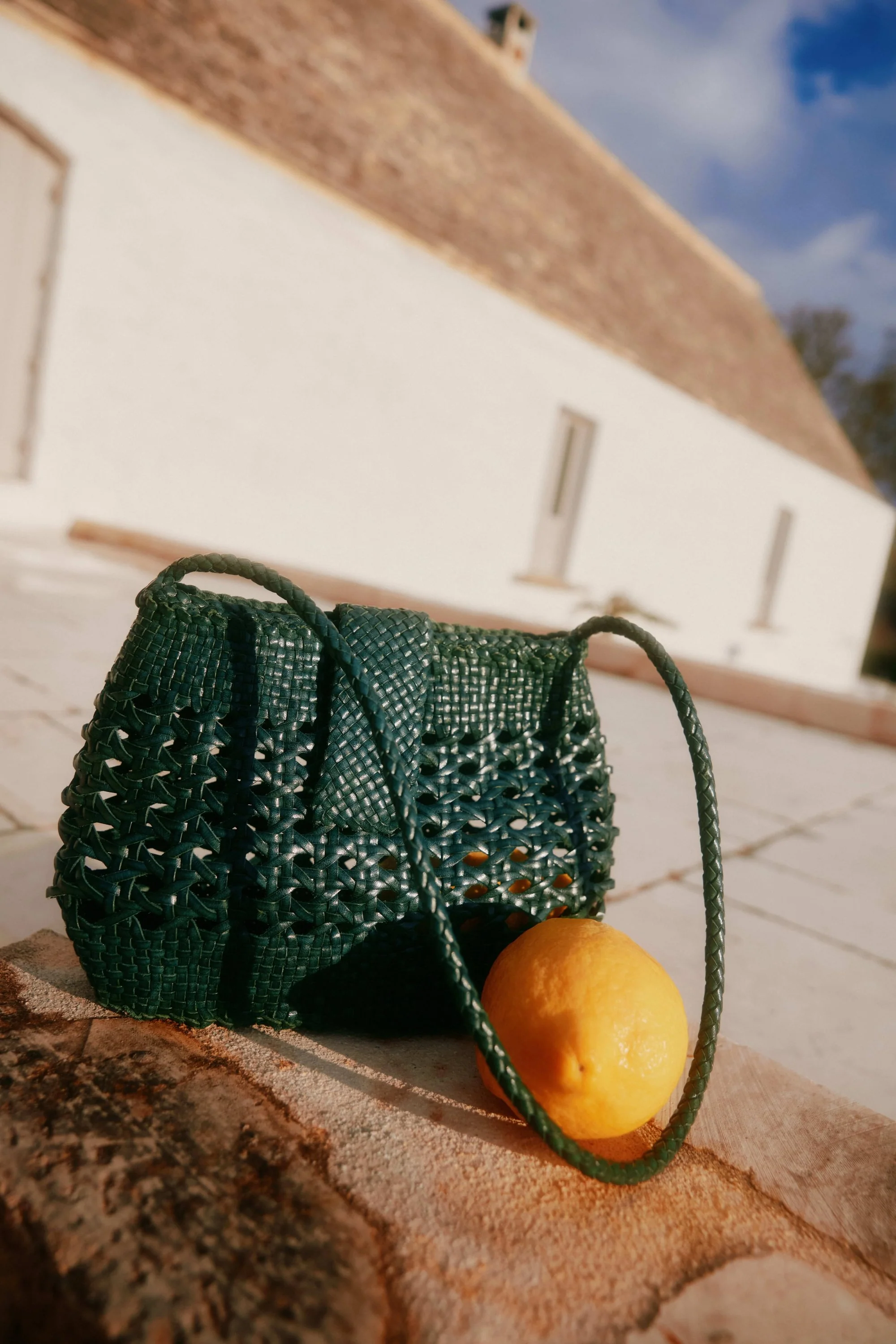 Amoria - Green - Image 5