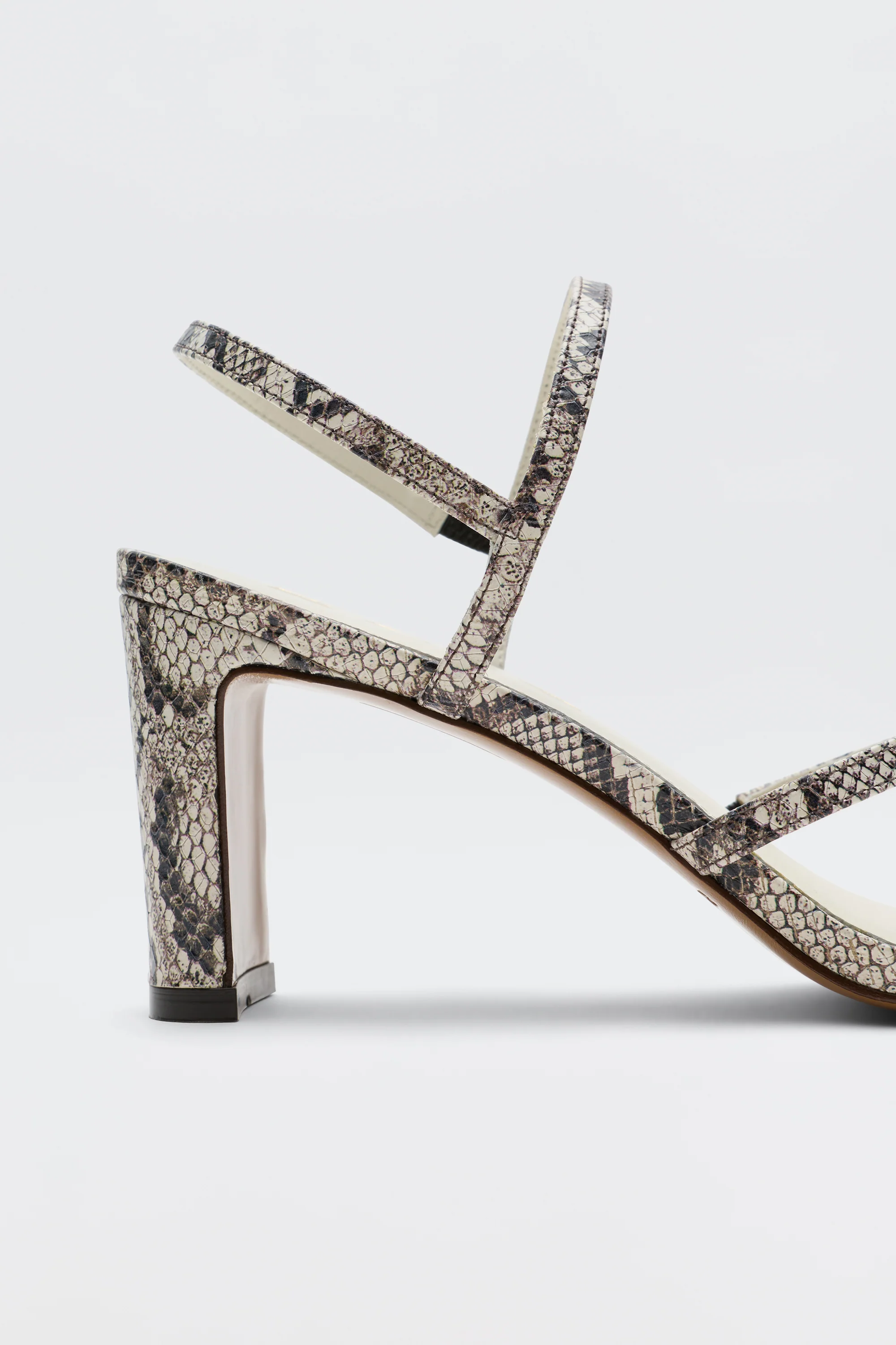 Ciervo - Snakeskin - Image 3