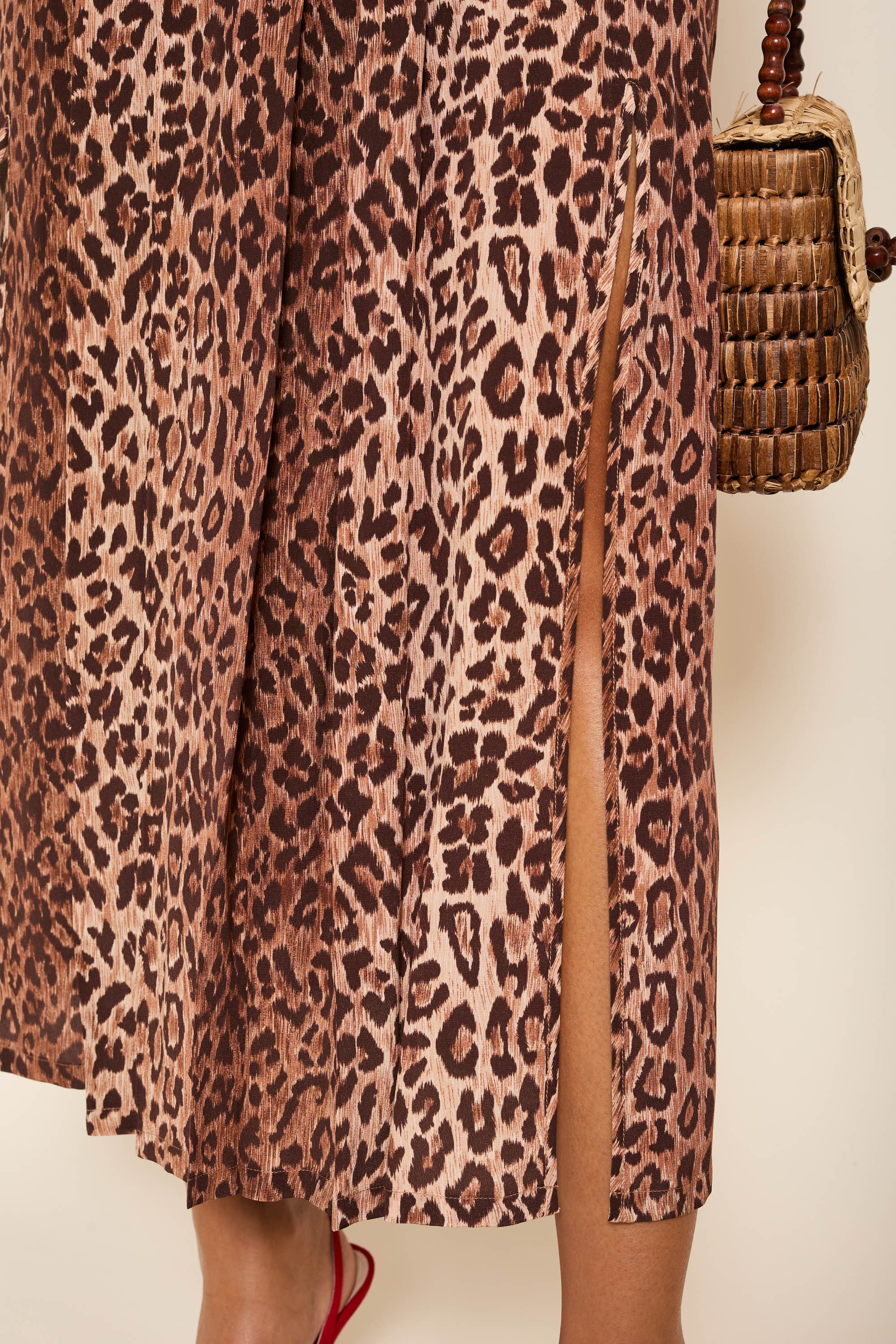 Georgia - Leopard - Image 4
