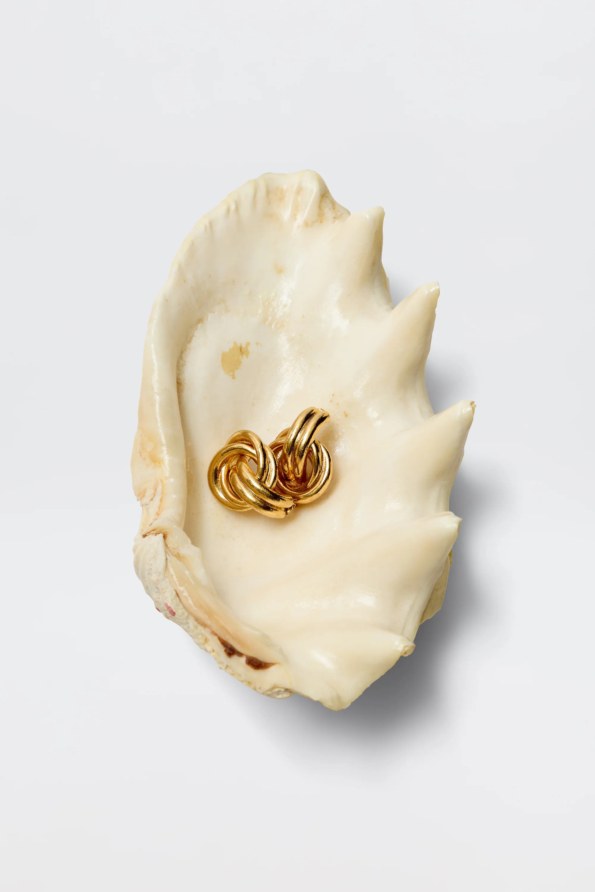 Nolana  -  Gold - Image 3